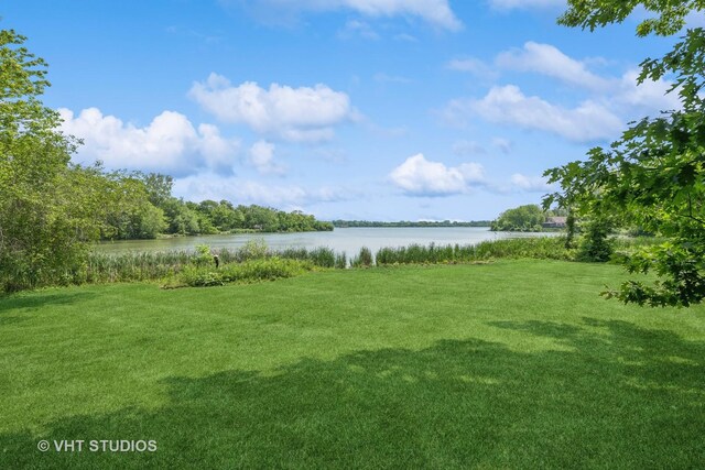 907 Division St, Barrington, IL 60010 - view of grassy yard with a water view