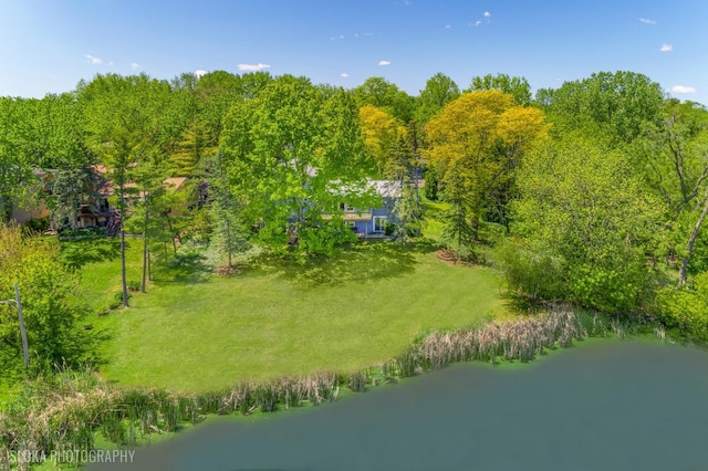 907 Division St, Barrington, IL 60010 - view of subject property