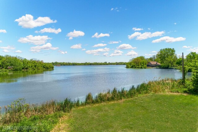 907 Division St, Barrington, IL 60010 - water view