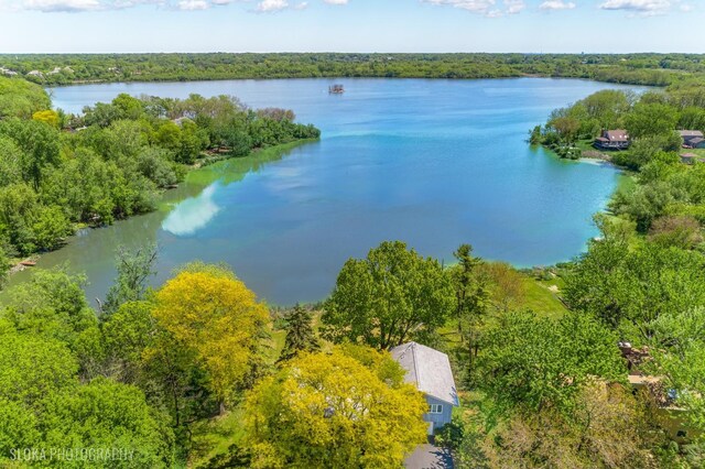 907 Division St, Barrington, IL 60010 - aerial view of a nearby body of water and a forest