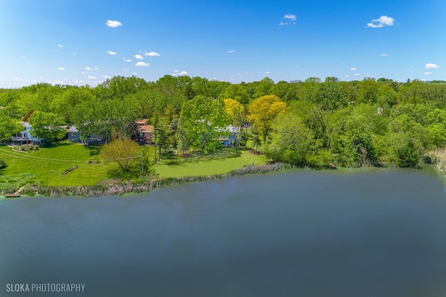 907 Division St, Barrington, IL 60010 - aerial view of a large body of water and a forest