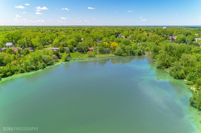 907 Division St, Barrington, IL 60010 - aerial view of a forest and a large body of water