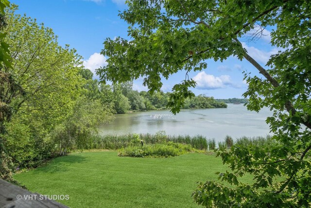 907 Division St, Barrington, IL 60010 - water view