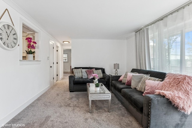 1009 8th Ave Unit 15-4, La Grange, IL 60525 - carpeted living room with plenty of natural light, baseboards, crown molding, and a baseboard heating unit