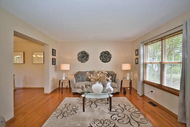 1729 Hidden Oaks Ct, Plainfield, IL 60586 - living room featuring healthy amount of natural light, wood finished floors, and baseboards