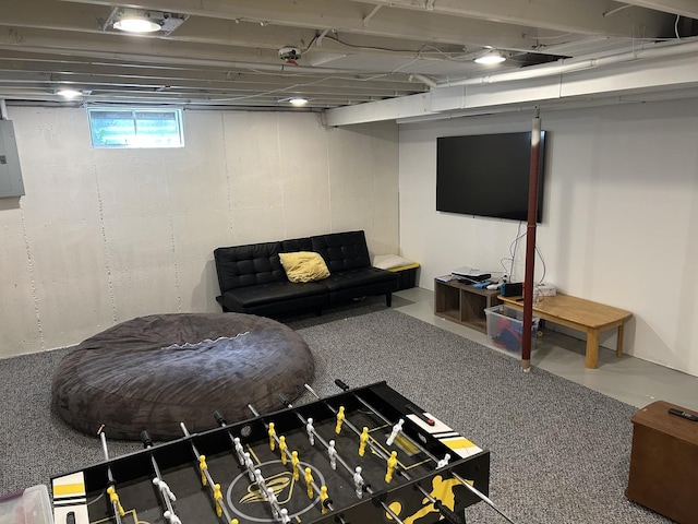 210 E Edgelawn Dr, Plano, IL 60545 - basement with electric panel