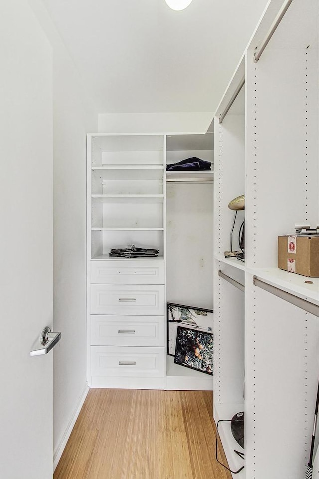 walk in closet featuring light wood-style floors