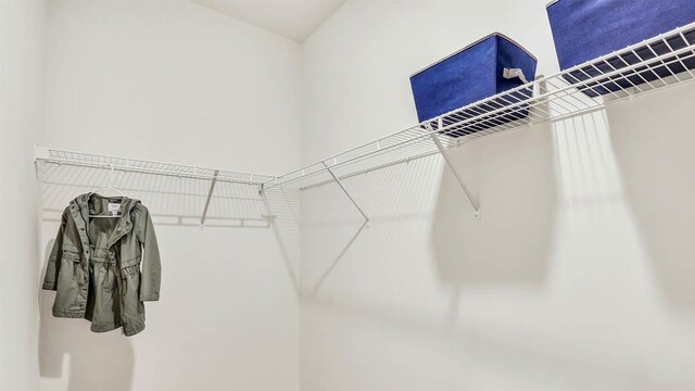 319 Snowdrop Ln, Elgin, IL 60124 - view of spacious closet