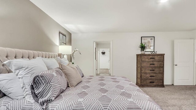 319 Snowdrop Ln, Elgin, IL 60124 - view of carpeted bedroom
