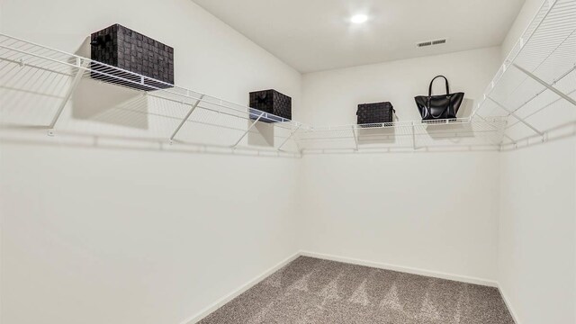 319 Snowdrop Ln, Elgin, IL 60124 - walk in closet featuring carpet flooring