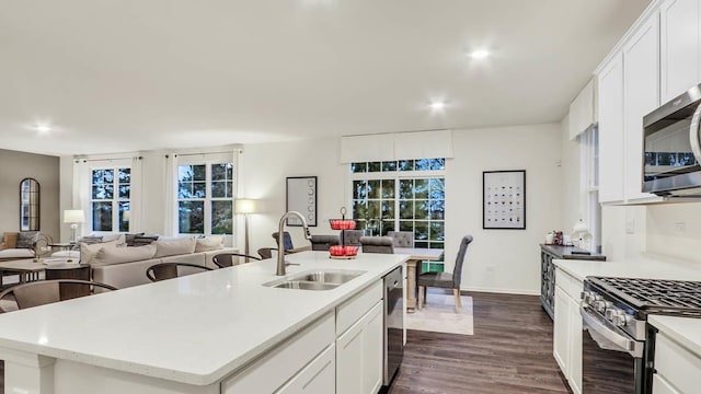 319 Snowdrop Ln, Elgin, IL 60124 - kitchen featuring a sink, stainless steel appliances, open floor plan, light countertops, and recessed lighting