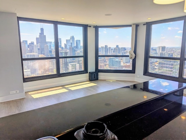 detailed view of a view of skyline and wood finished floors
