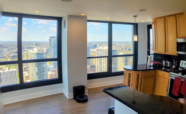 kitchen featuring appliances with stainless steel finishes, healthy amount of natural light, a view of city, a wall of windows, and recessed lighting