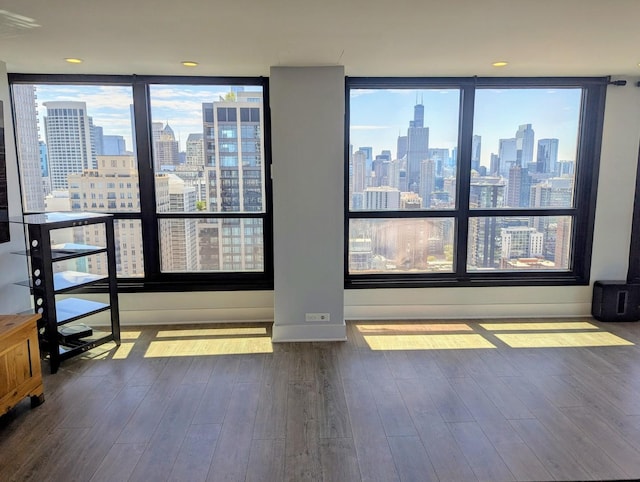 spare room featuring a view of skyline, plenty of natural light, dark wood finished floors, and baseboards