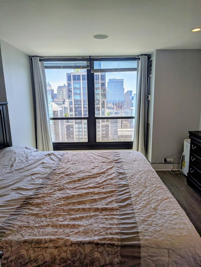 bedroom featuring dark wood finished floors and a view of city