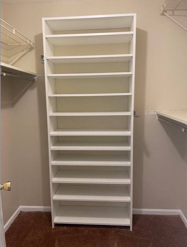 spacious closet with carpet