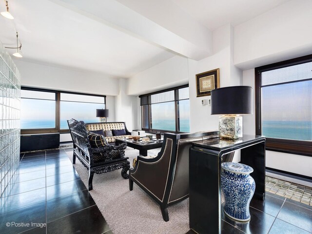 living room with dark tile patterned floors