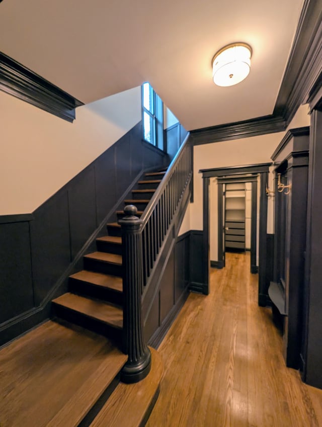 7411 S Champlain Ave, Chicago, IL 60619 - stairway with wood finished floors, ornamental molding, and a wainscoted wall