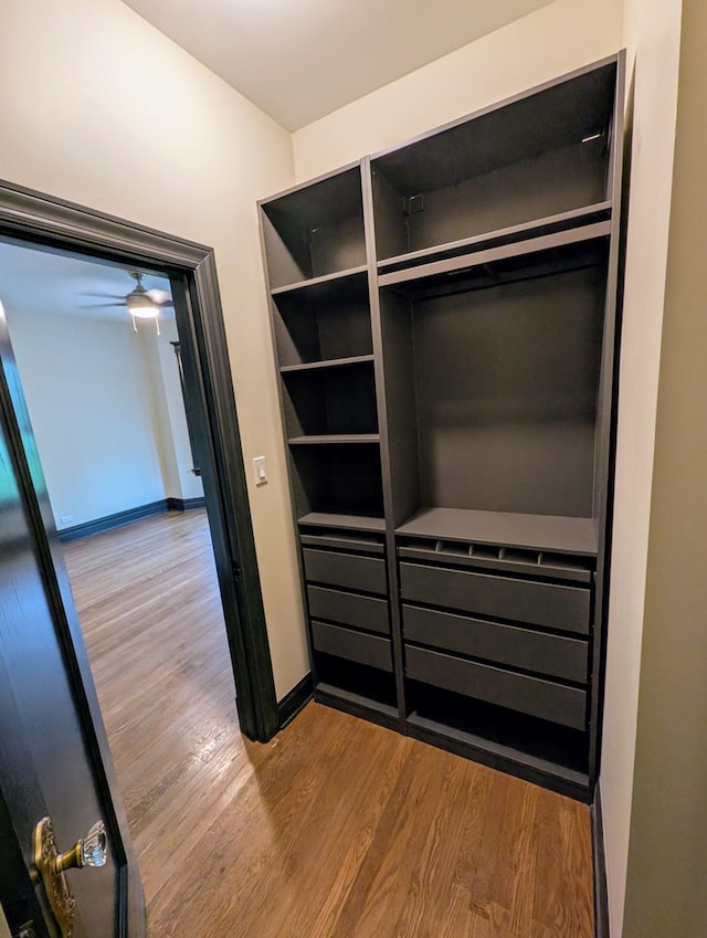 7411 S Champlain Ave, Chicago, IL 60619 - view of closet