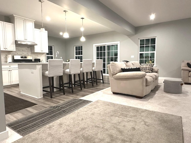 32052 N Great Plaines Ave, Lakemoor, IL 60051 - living area featuring wood finished floors and baseboards