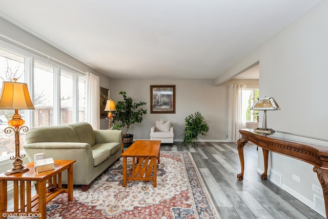1042 Catalpa Ct, Beecher, IL 60401 - living room featuring wood finished floors and baseboards