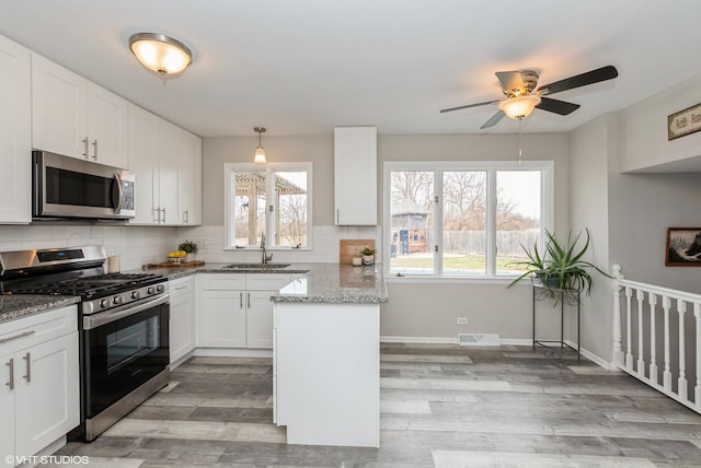1042 Catalpa Ct, Beecher, IL 60401 - kitchen with stainless steel appliances, healthy amount of natural light, light wood-style floors, and backsplash