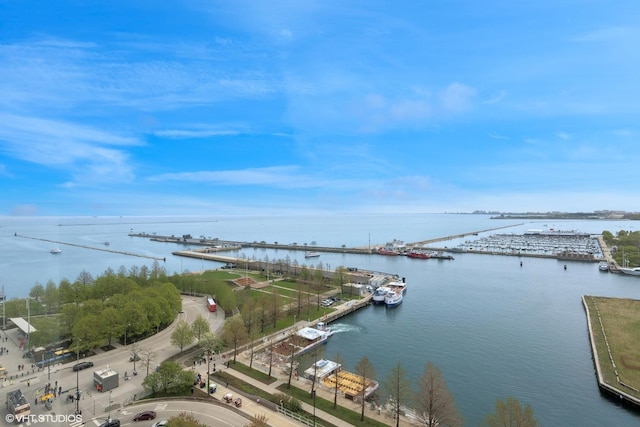 505 N Lake Shore Dr Unit 1515, Chicago, IL 60611 - photo 18