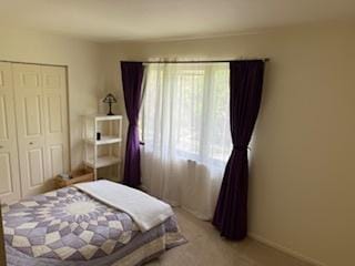 75 6th Ave Unit 209, La Grange, IL 60525 - bedroom featuring multiple windows, a closet, and light carpet