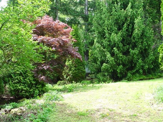 2109 Grange Dr, Urbana, IL 61801 - view of tree filled area