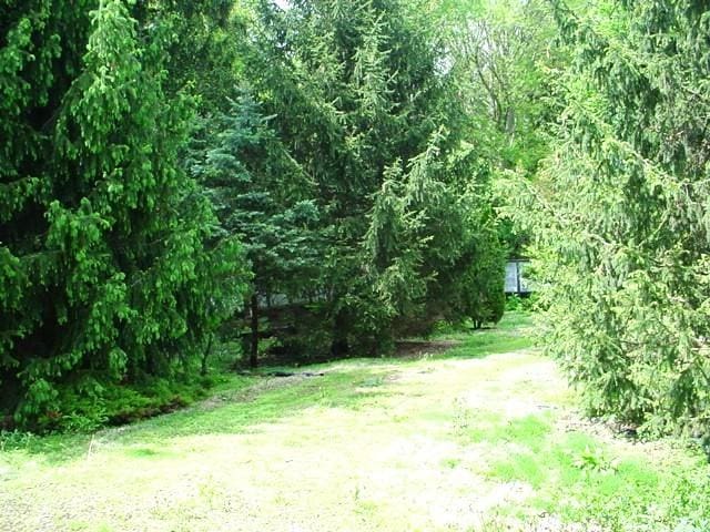2109 Grange Dr, Urbana, IL 61801 - view of wooded area