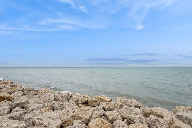 6171 N Sheridan Rd Unit 2704, Chicago, IL 60660 - water view