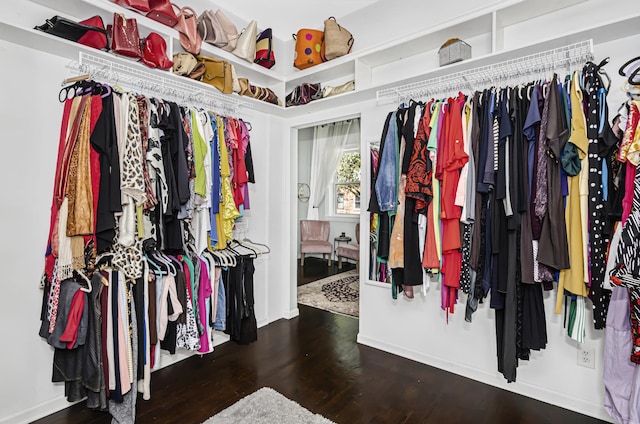 4738 S Champlain Ave, Chicago, IL 60615 - spacious closet with wood finished floors