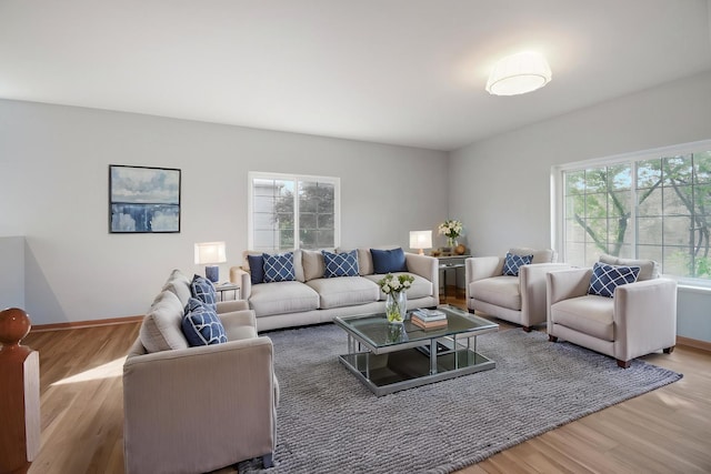 living room featuring wood finished floors and baseboards