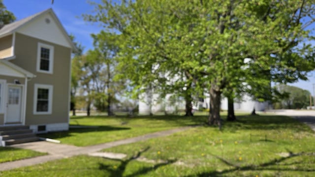 140 E Walnut St, Sheldon, IL 60966 - view of green lawn with entry steps