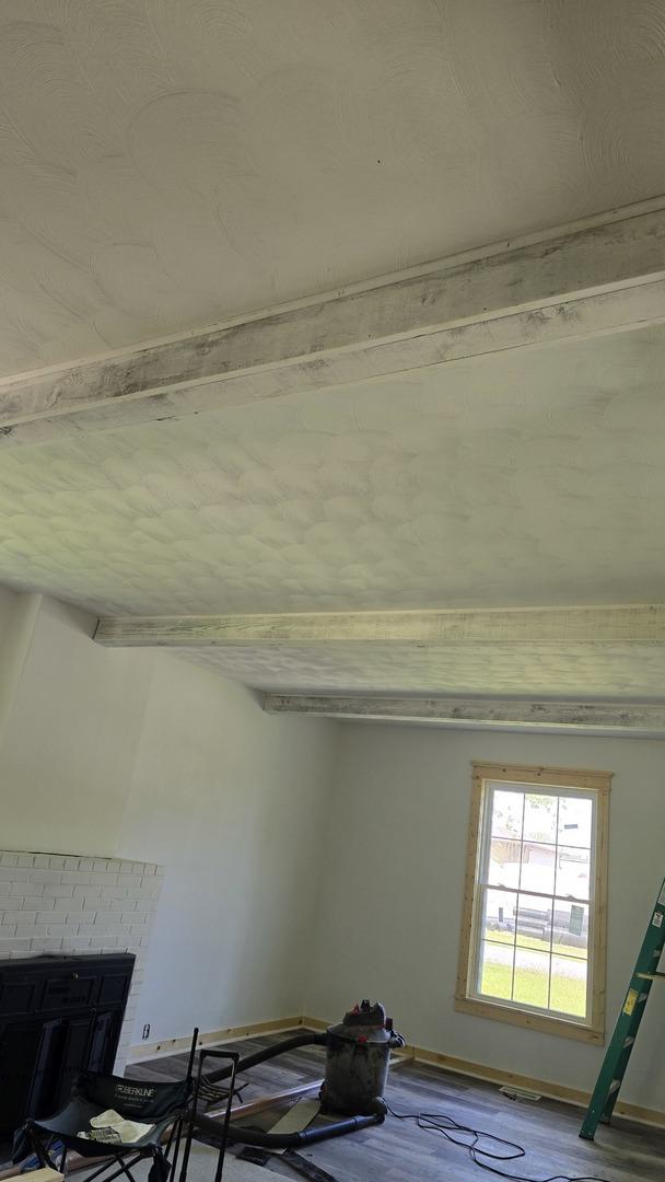 140 E Walnut St, Sheldon, IL 60966 - detailed view of a fireplace, baseboards, and wood finished floors