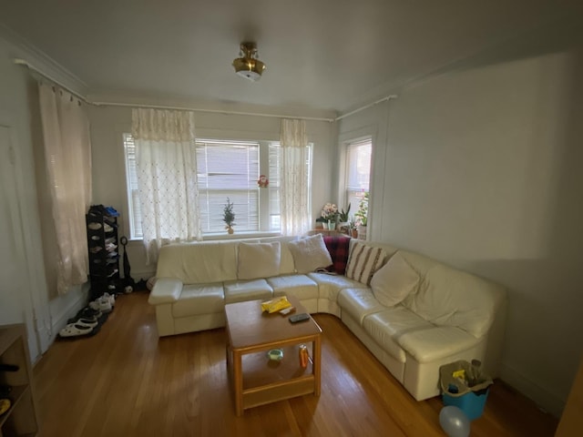 2552 N Austin Ave, Chicago, IL 60639 - living area featuring crown molding and wood finished floors