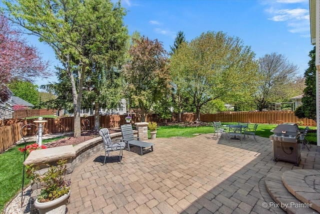 1211 Prairie Dr, Algonquin, IL 60102 - view of patio with area for grilling and outdoor dining space