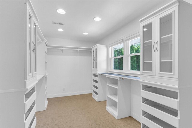 811 Hamilton Dr, Champaign, IL 61820 - spacious closet with light colored carpet