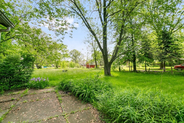 17725 Henry St, Lansing, IL 60438 - view of yard