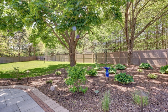 view of yard with a patio