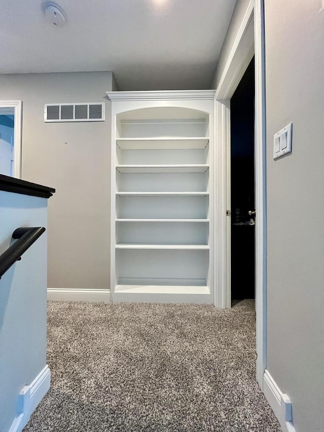 1143 N Westshore Blvd, Manteno, IL 60950 - spacious closet with carpet