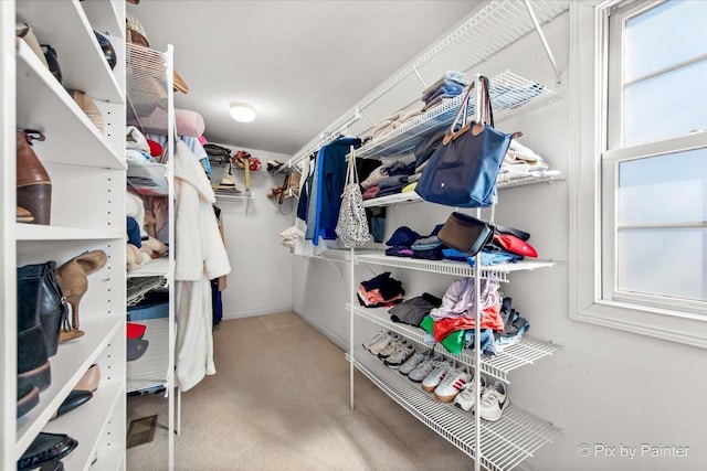 spacious closet with carpet flooring