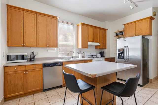 3809 N Kenmore Ave, Chicago, IL 60613 - kitchen featuring stainless steel appliances, under cabinet range hood, a sink, light tile patterned floors, and light countertops