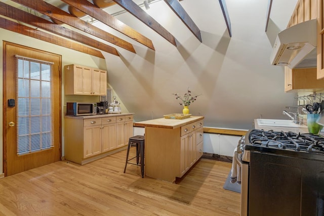 3809 N Kenmore Ave, Chicago, IL 60613 - kitchen with appliances with stainless steel finishes, under cabinet range hood, a sink, light brown cabinetry, and light wood-type flooring