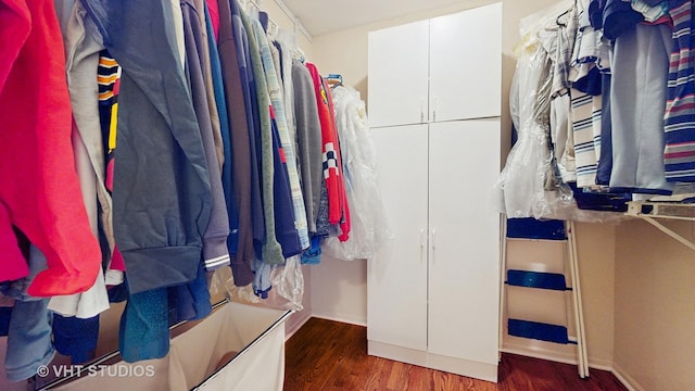 190 Washo Ct, Lake Zurich, IL 60047 - walk in closet featuring wood finished floors
