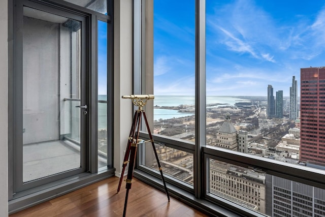 interior space featuring a view of city, wood finished floors, a water view, and plenty of natural light