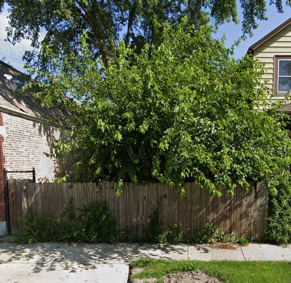 140 E 118th St, Chicago IL, 60628 land for sale