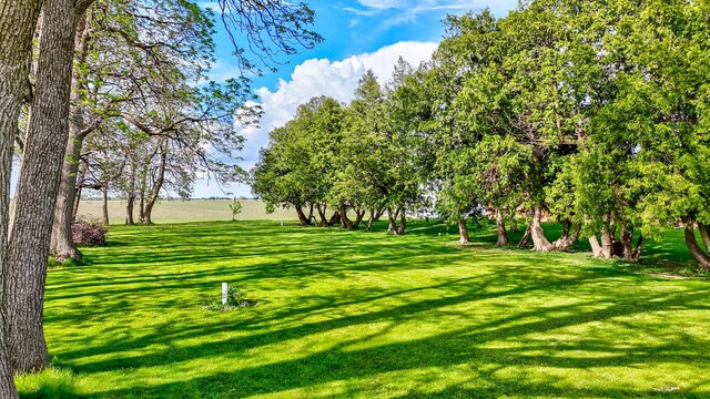 2651 E 2900 N Rd, Ancona, IL 61311 - view of community featuring a yard