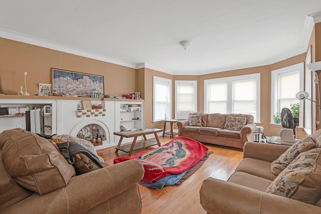 living area featuring ornamental molding, wood finished floors, and a fireplace