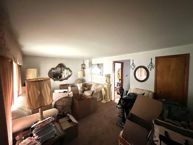 7502 W 64th St, Summit, IL 60501 - view of carpeted living area